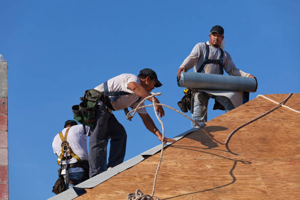 Best Roof Gutter Cleaning  in Old Orchard, PA