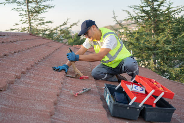 Best Local Roofing Companies  in Old Orchard, PA